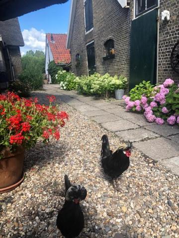 B&B De Beijersche Stee, Logies Aan De Waterkant Stolwijk Kültér fotó